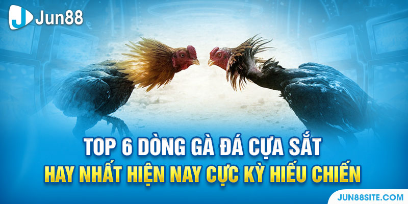 Top 6 Dòng Gà Đá Cựa Sắt Hay Nhất Hiện Nay Cực Kỳ Hiếu Chiến