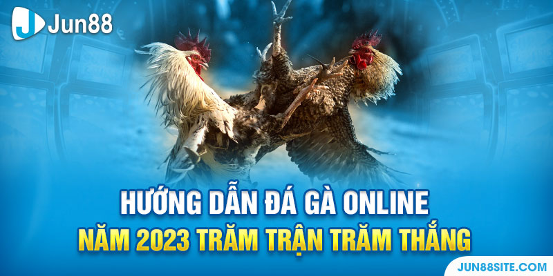 Hướng Dẫn Đá Gà Online Năm 2023 Trăm Trận Trăm Thắng