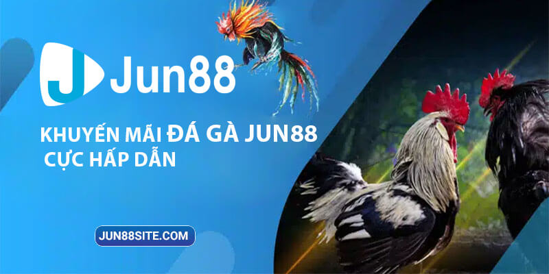 Tham gia đặt cược để tận hưởng những khuyến mãi Đá Gà siêu hấp dẫn